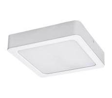 Rabalux Rabalux 71209 - LED Stropné svietidlo SHAUN LED/24W/230V 22x22 cm biela