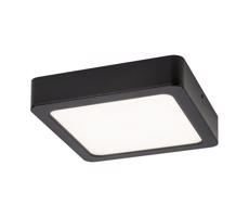 Rabalux Rabalux 71213 - LED Stropné svietidlo SHAUN LED/7W/230V 12x12 cm čierna