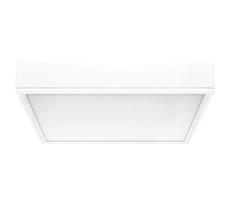 Rabalux Rabalux 71245 - LED Stropné svietidlo LAURI LED/22W/230V 21x21 cm biela