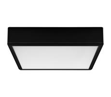 Rabalux Rabalux 71247 - LED Stropné svietidlo LAURI LED/22W/230V 21x21 cm čierna