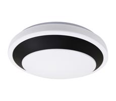 Rabalux Rabalux 71273 - LED Stropné svietidlo BARBORA LED/24W/230V 4000K