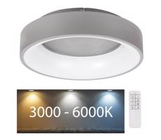 Rabalux Rabalux - LED Stmievateľné stropné svietidlo LED/24W/230V guľatý 3000-6000K + DO