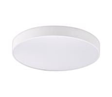 Top Light Top Light-LED Kúpeľ. stropné svietidlo PETAL LED/24W/230V IP44 pr. 48 cm bílá+DO